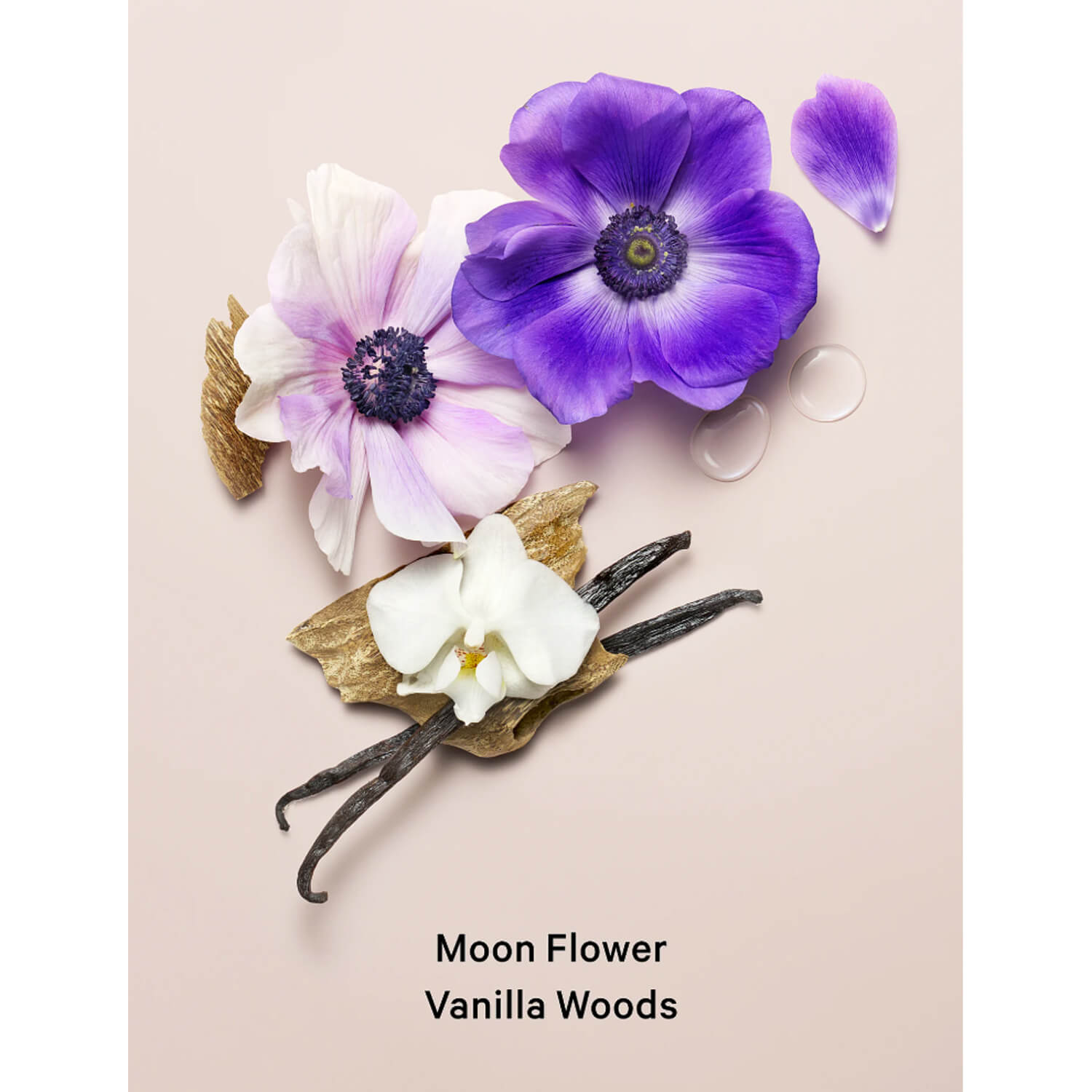 Victoria's Secret Fragrance Mist - Midnight Bloom